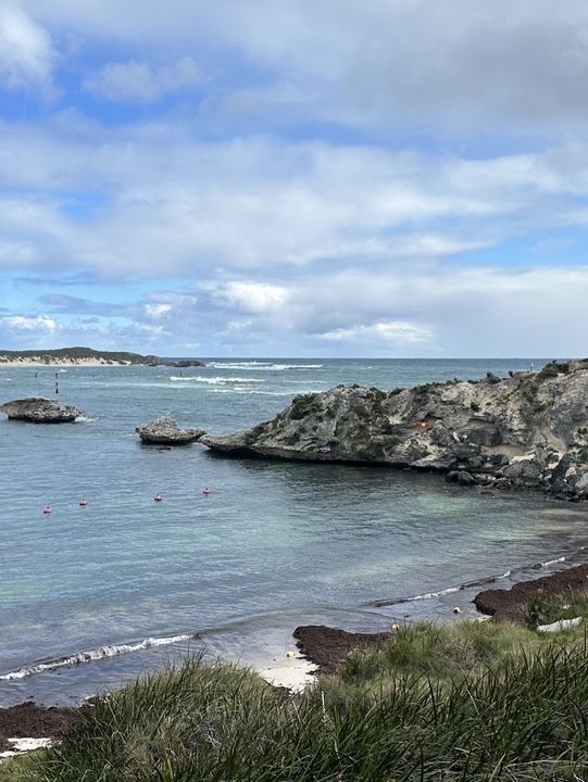 🏝️ A Perfect Day on Rottnest Island: Serene Beaches and Quokkas 
