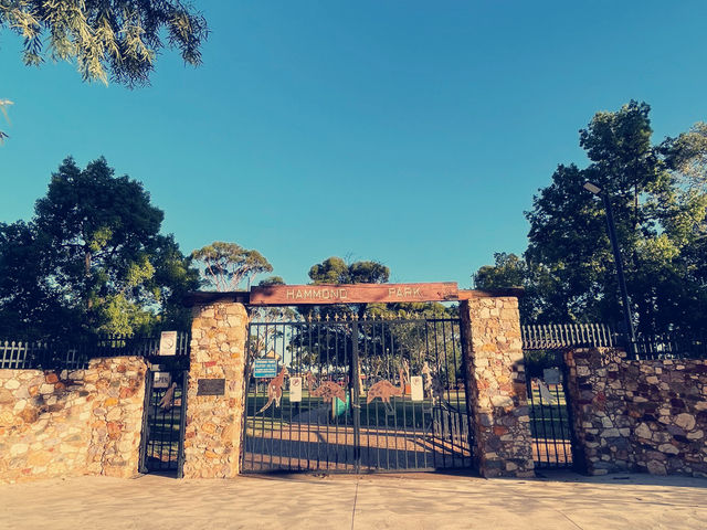 Hammond Park- Natures beauty of Kalgoorlie