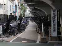 Nakameguro: Tokyo’s Riverside Gem of Culture and Charm