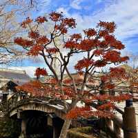 Edo Wonderland Nikko
