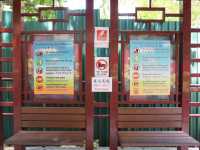 10,000 Buddhas, One Journey: A Peaceful Escape in Sha Tin