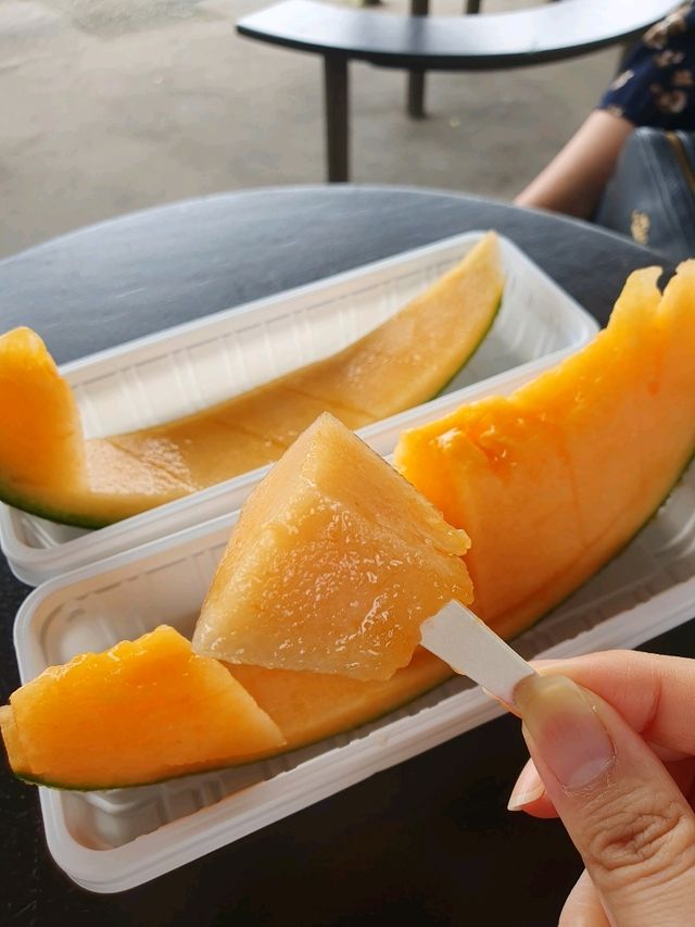 여름에 가기 좋은 훗카이도 비에이 투어🌻🌷🌻🌷