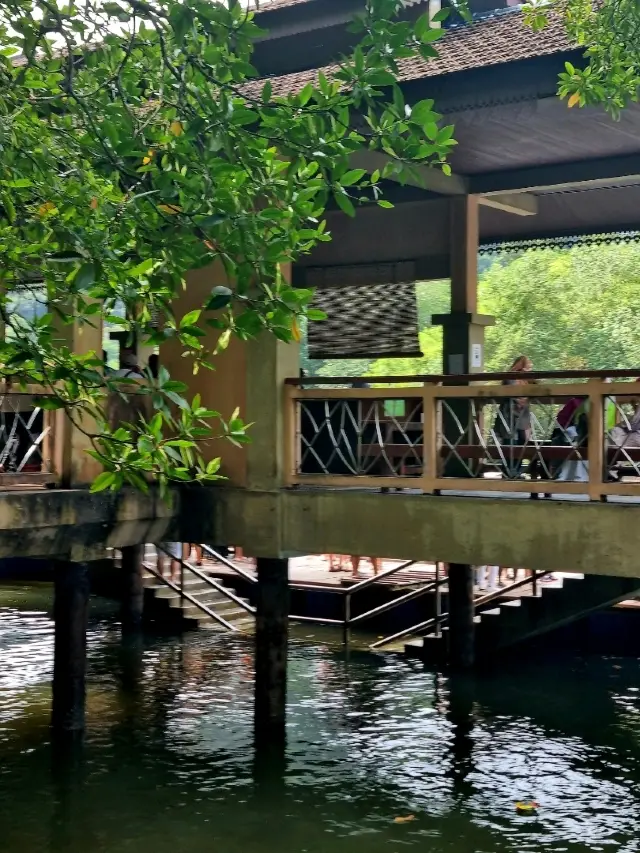 흥미진진한 정글 탐험! 🌿🛶 