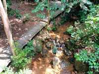 Gunung Lambak Kluang Johor,it is free to explore the nature