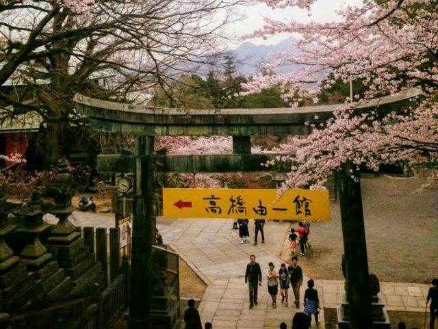 日本四國的能量景點：1368石階的「金刀比羅宮」