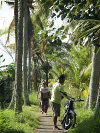 ソロ旅女子｜インドア派でも楽しめる、バリ島ウブドの歩き方