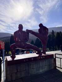 🇨🇳 Day Trip to Shaolin Temple: Where Kung Fu Legends Are Born