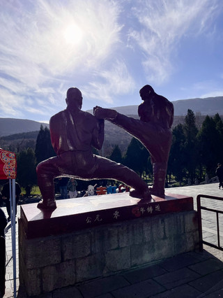 🇨🇳 Однодневная поездка в храм Шаолинь: место, где рождаются легенды кунг-фу
