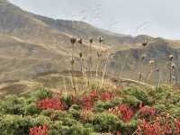 Grindelwald: A Hiker’s Paradise in the Swiss Alps