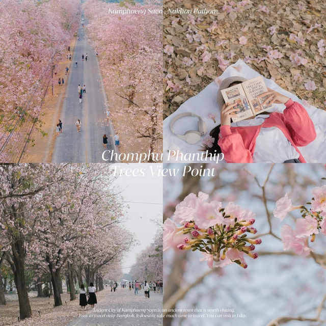 13 ที่เที่ยว #กำแพงแสน #นครปฐม 🚲🤍🌸