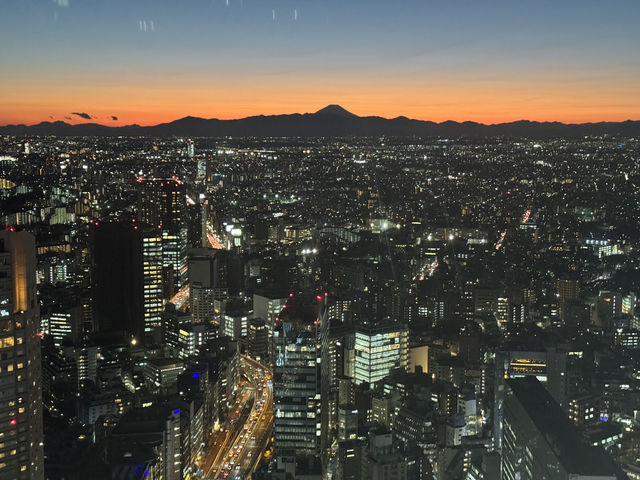 東京澀谷一日遊，感受活力與驚喜
