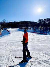 Alpensia Pyeongchang: A Perfect Winter Escape 