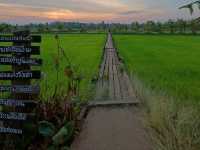 สะพานไม้ 100 ปี ครบุรี นครราชสีมา