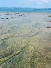 白い砂浜と青い海！白良浜で心癒されるビーチタイム🏖️🌊