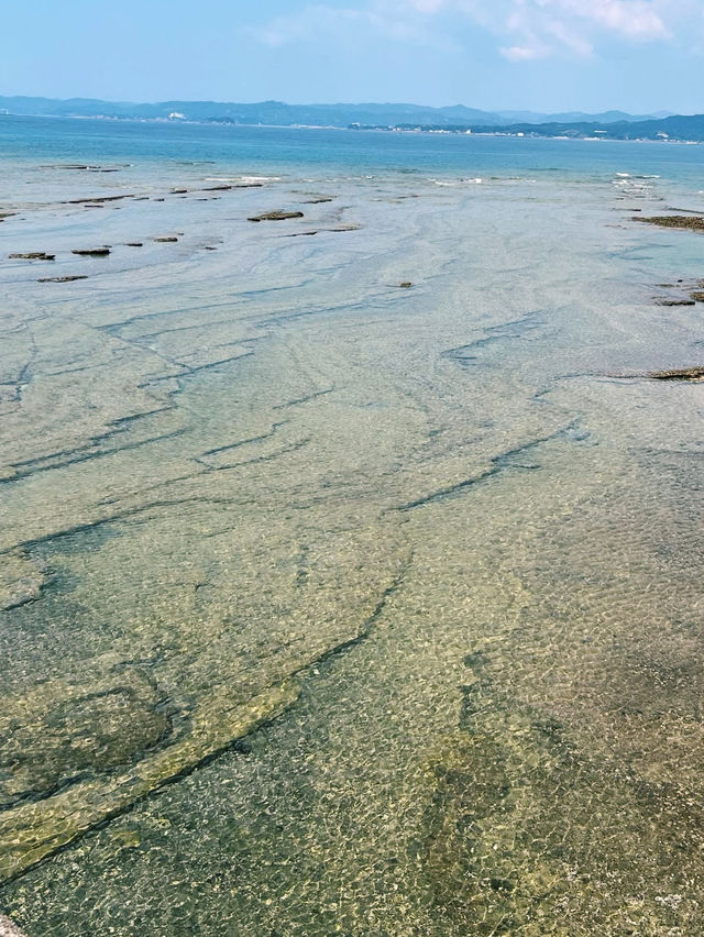 白い砂浜と青い海！白良浜で心癒されるビーチタイム🏖️🌊
