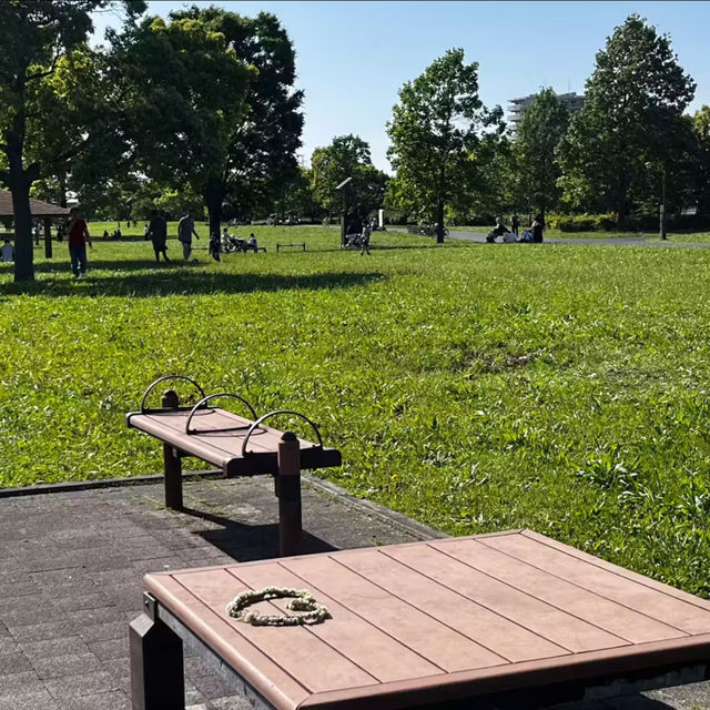 🌈龍崗小童公園～色彩世界 🌈
