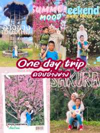 One day trip อ.ฝาง จ.เชียงใหม่