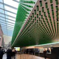 Heineken Experience (Amsterdam)