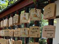 Step into History at Tsurugaoka Hachimangu Shrine