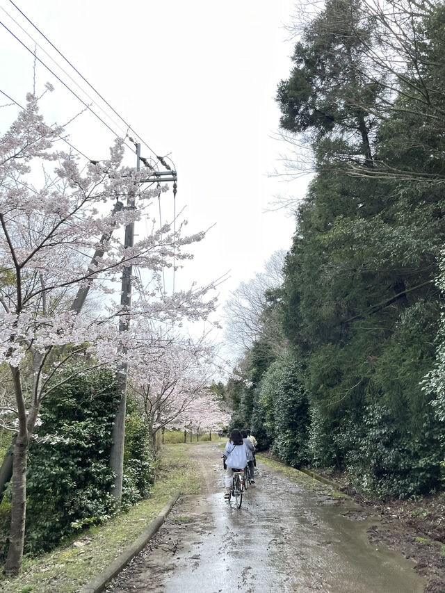 豐島檀山