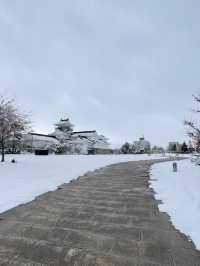 ปราสาทโทยามะ Toyama Castle Ruins