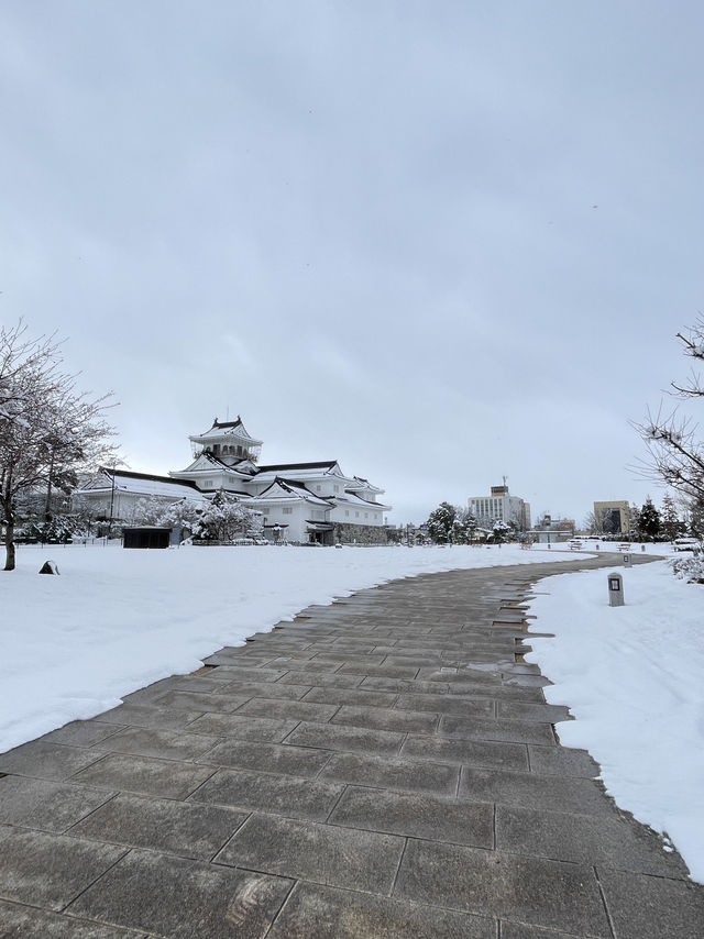 ปราสาทโทยามะ Toyama Castle Ruins