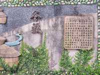 竹子湖✨夢幻花海與清新自然的絕美之地 🌸🏞️