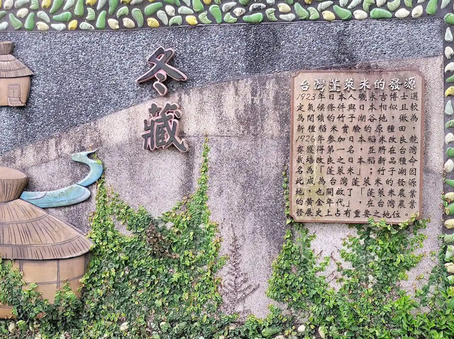 竹子湖✨夢幻花海與清新自然的絕美之地 🌸🏞️