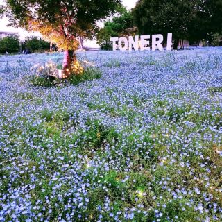 Toneri Park (舎人公園)