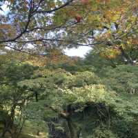 秋に紅葉を見に訪れて欲しい絶景スポット『東福寺』