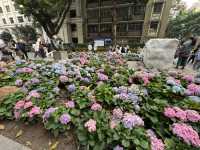 3 Days 3 Nights Guangzhou Trip
