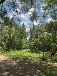 Beautiful wildlife sanctuary 