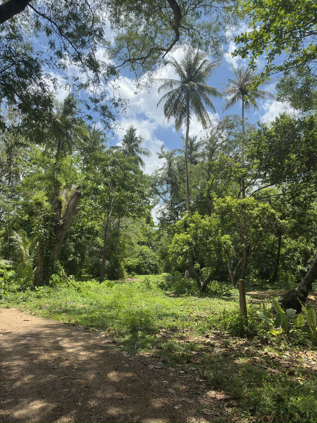 Beautiful wildlife sanctuary 