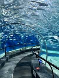 Shanghai: The Pulse of Modern Cosmopolitan City in China