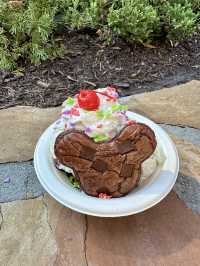 フロリダ🇺🇸アイスブラウニー🍨