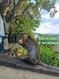 พิกัดเที่ยวบางแสน แค่ปากซอย