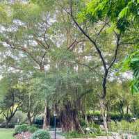 珠海中山公園｜空氣清新休閒之地