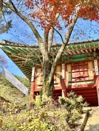 🇰🇷가을에 떠나본 울긋불긋 강화도 전등사🍂🍁