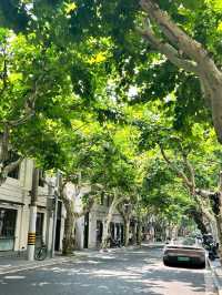 Anfu Road｜Timeless Trendsetter