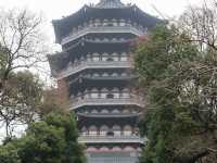 “Hangzhou 1 day trip”