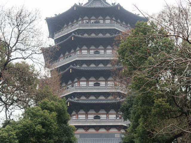 “Hangzhou 1 day trip”
