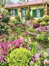 Discover the Beauty of the Shenzhen Flower Show 2025
