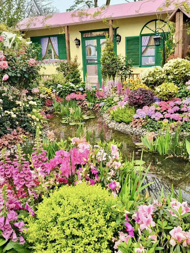 Discover the Beauty of the Shenzhen Flower Show 2025