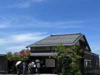 【神々のふるさと】出雲大社 ⛩🌿✨