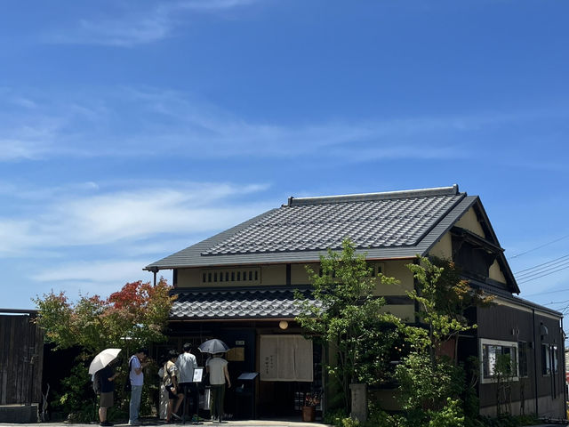 【神々のふるさと】出雲大社 ⛩🌿✨