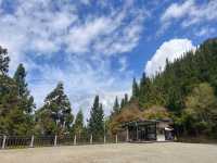 嘉義旅行去 👣 ＂寒溪呢森林人文叡地＂