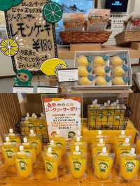 【沖縄】大宜味村 入場無料で楽しめるシークヮーサーパーク