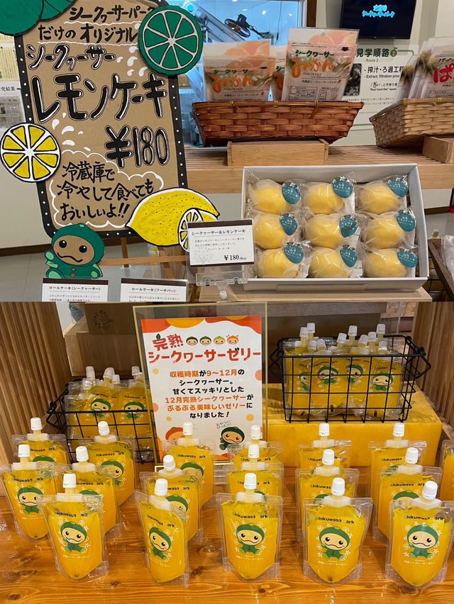 【沖縄】大宜味村 入場無料で楽しめるシークヮーサーパーク
