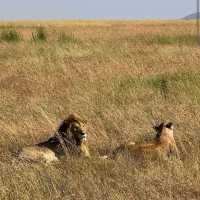 Serengeti National Park, Tanzania – Witness the Great Migration Responsibly