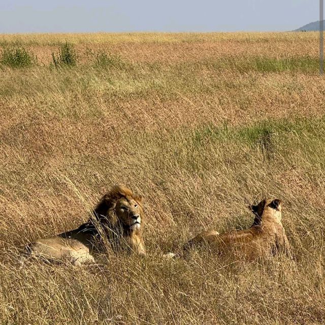 Serengeti National Park, Tanzania – Witness the Great Migration Responsibly